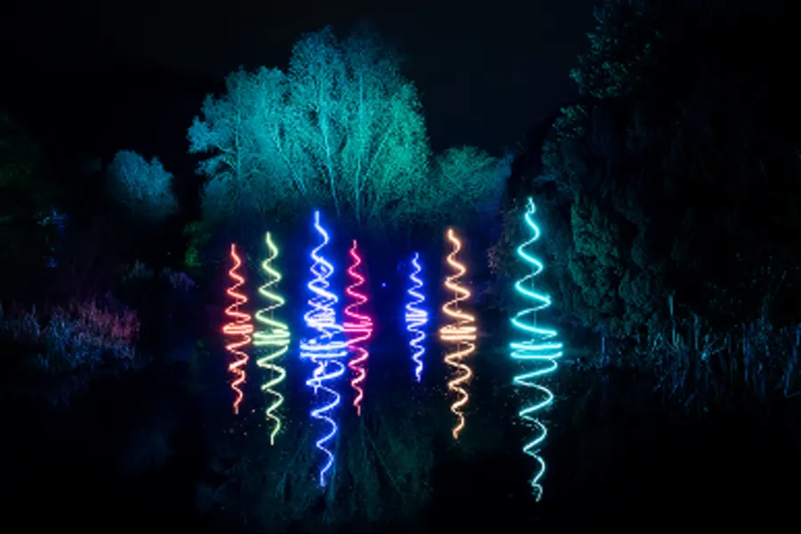 A Sparkling Light Wonderland