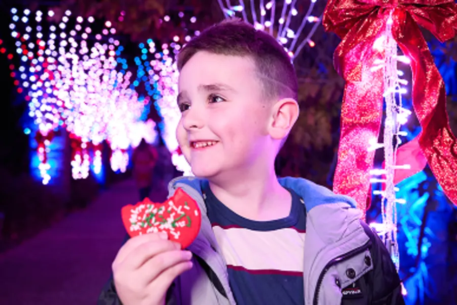 Savor the Flavors of the Season